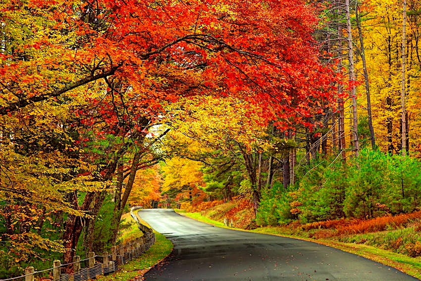 The Ultimate New England Fall Foliage Road Trip Lonely Planet the-ultimate-new-england-fall-foliage-road-trip-lonely-planet